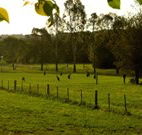 Stone Cottage Mittagong - Accommodation Mooloolaba