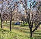 Worrowing Boat Shed - Accommodation Mooloolaba