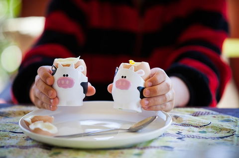 Cosy Cow Farmstay Bed And Breakfast - Accommodation Mooloolaba 0