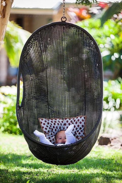 Cosy Cow Farmstay Bed And Breakfast - Accommodation Mooloolaba 5