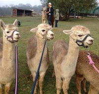 Bunyip Springs Farmstay - Accommodation Mooloolaba