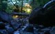 Daintree Secrets Waterfall Sanctuary - thumb 2