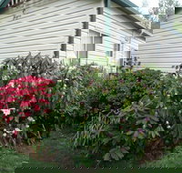 Jenolan Caravan Park - Accommodation Mooloolaba