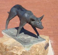 The Ardlethan Kelpie Caravan Park - Accommodation Mooloolaba