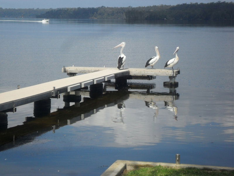 Basin View NSW Accommodation Mooloolaba