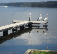Basin Cabin - Accommodation Mooloolaba