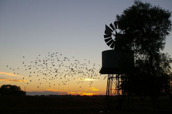 Tooraweenah NSW Accommodation Mooloolaba