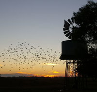 Nevertire Hotel - Accommodation Mooloolaba