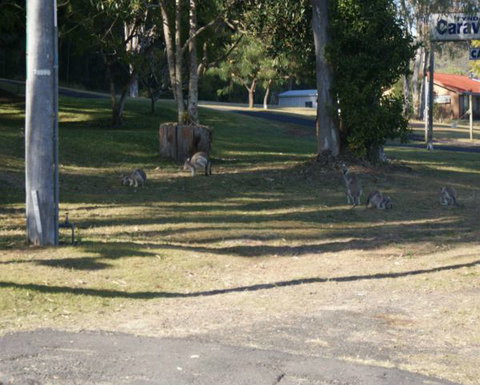 Tyndale Tourist Park & Roadhouse - Accommodation Mooloolaba 3