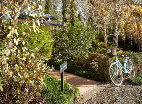 Pizzini's Vineyard Guesthouse - Accommodation Mooloolaba 5