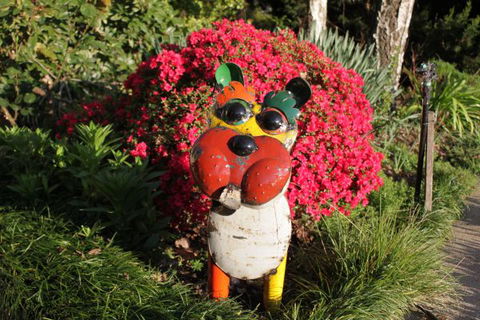 Pizzini's Vineyard Guesthouse - Accommodation Mooloolaba 7