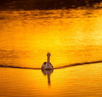 River Shack Rentals - Living the Dream - Accommodation Mooloolaba