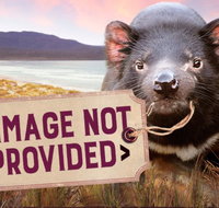 Thalia Haven - Accommodation Mooloolaba