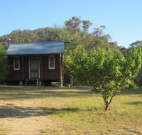 Peach Tree Cabin - Accommodation Mooloolaba