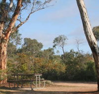 Drummonds Camp at Avon Valley National Park - Accommodation Mooloolaba