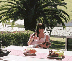 Sunny Hill Retreat Accommodation & Day Spa - Accommodation Mooloolaba 4