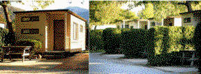 Bright Pine Valley Tourist Park - Accommodation Mooloolaba 3