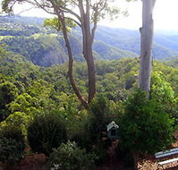 Mt Tamborine Motel - Accommodation Mooloolaba