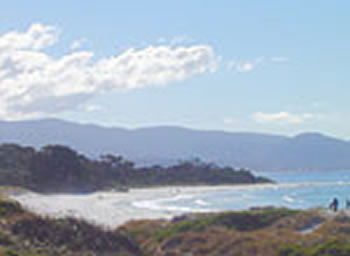 Bicheno On The Beach - Accommodation Mooloolaba 5