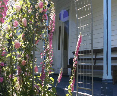 Devonport Bed And Breakfast - Accommodation Mooloolaba