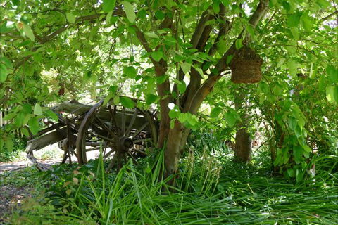 Willowbrook Heritage Bed & Breakfast - Accommodation Mooloolaba 7