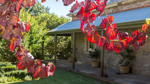 Grand Cru Estate Homestead - Accommodation Mooloolaba 0