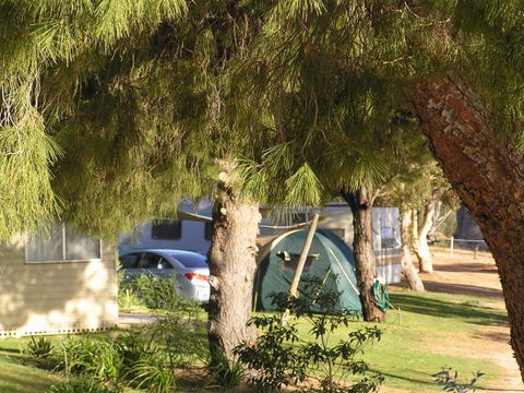 Barmera North Lake Caravan Park - Accommodation Mooloolaba 0