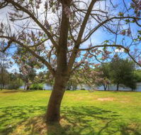 Breakaway Twin Rivers Caravan Park - Accommodation Mooloolaba