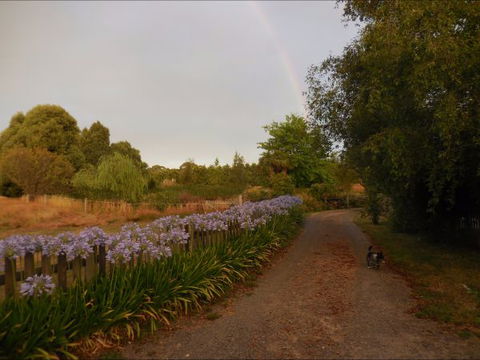 Bunjil Farm - Accommodation Mooloolaba 5