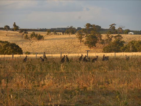 Bunjil Farm - Accommodation Mooloolaba 8