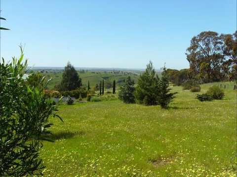 Jonathan Art Centre - Jarramarrumba House - Accommodation Mooloolaba 1