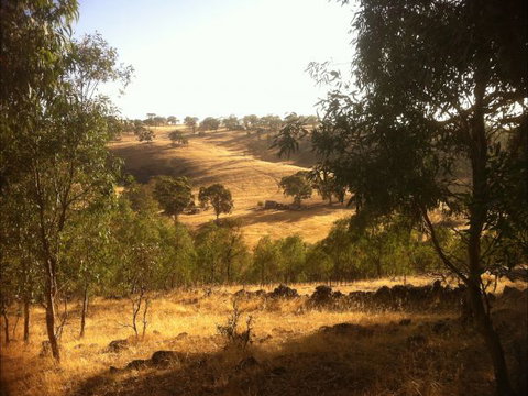 Jonathan Art Centre - Jarramarrumba House - Accommodation Mooloolaba 6