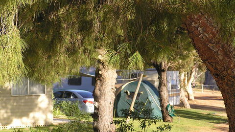 Barmera North Lake Caravan Park - Accommodation Mooloolaba 4
