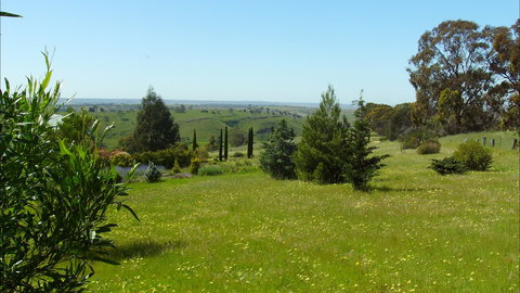 Jonathan Art Centre - Jarramarrumba House - Accommodation Mooloolaba 0