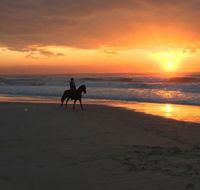 Tassiriki Holiday Cabins - Accommodation Mooloolaba