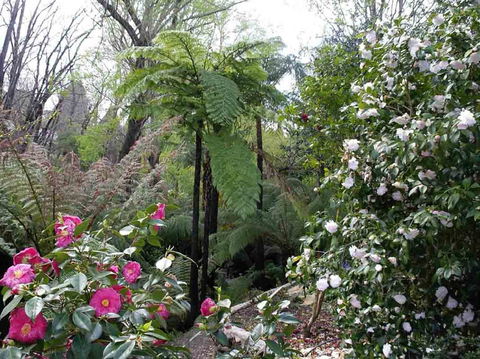 Adelaide Hills B&B Accommodation - Accommodation Mooloolaba 3