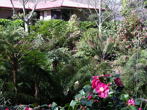Adelaide Hills B&B Accommodation - Accommodation Mooloolaba 6