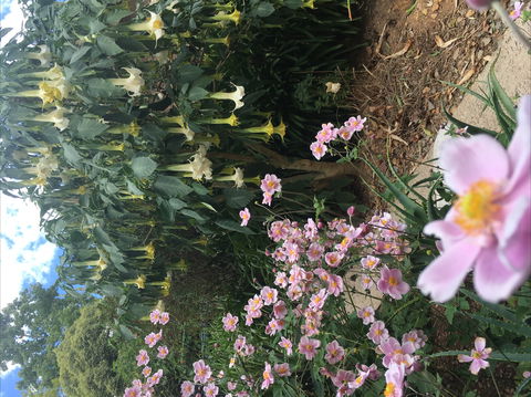 Adelaide Hills B&B Accommodation - Accommodation Mooloolaba 7
