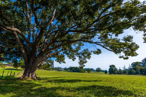 All About Me Bed And Breakfast - Accommodation Mooloolaba 8