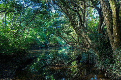 All About Me Bed And Breakfast - Accommodation Mooloolaba 9