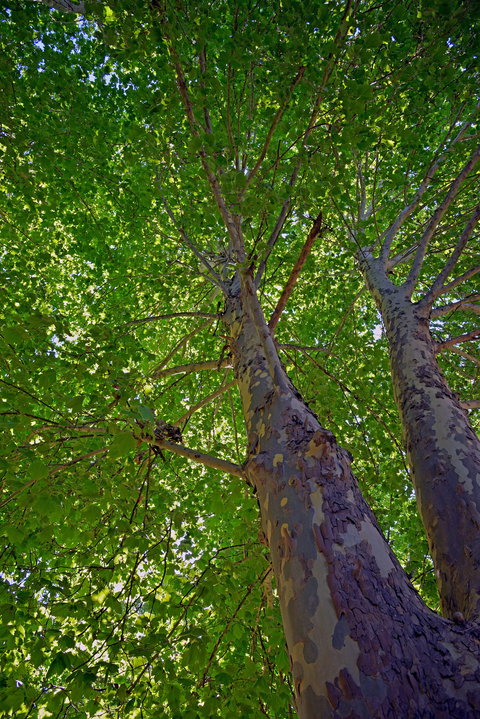 Ardern's Caravan Park Myrtleford - Accommodation Mooloolaba 2