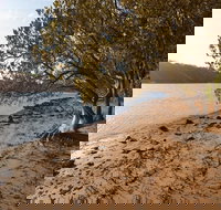 Beach campground - Accommodation Mooloolaba