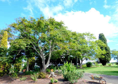 Forest Lodge Highfields - Accommodation Mooloolaba 3