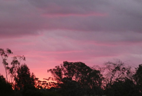 Forest Lodge Highfields - Accommodation Mooloolaba 4