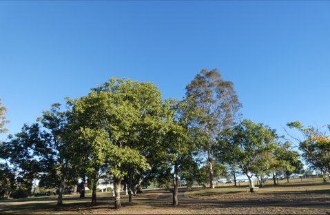 Forest Lodge Highfields - Accommodation Mooloolaba 6