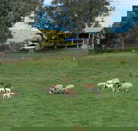 Gaddleen Grove Cottages - Accommodation Mooloolaba