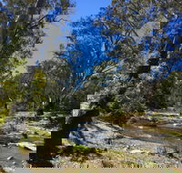 Highfield Farm and Woodland Bush Campsites - Accommodation Mooloolaba