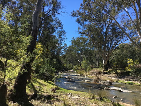 Highfield Farm And Woodland Bush Campsites - Accommodation Mooloolaba 0