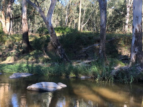 Highfield Farm And Woodland Bush Campsites - Accommodation Mooloolaba 1