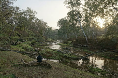 Highfield Farm And Woodland Bush Campsites - Accommodation Mooloolaba 2
